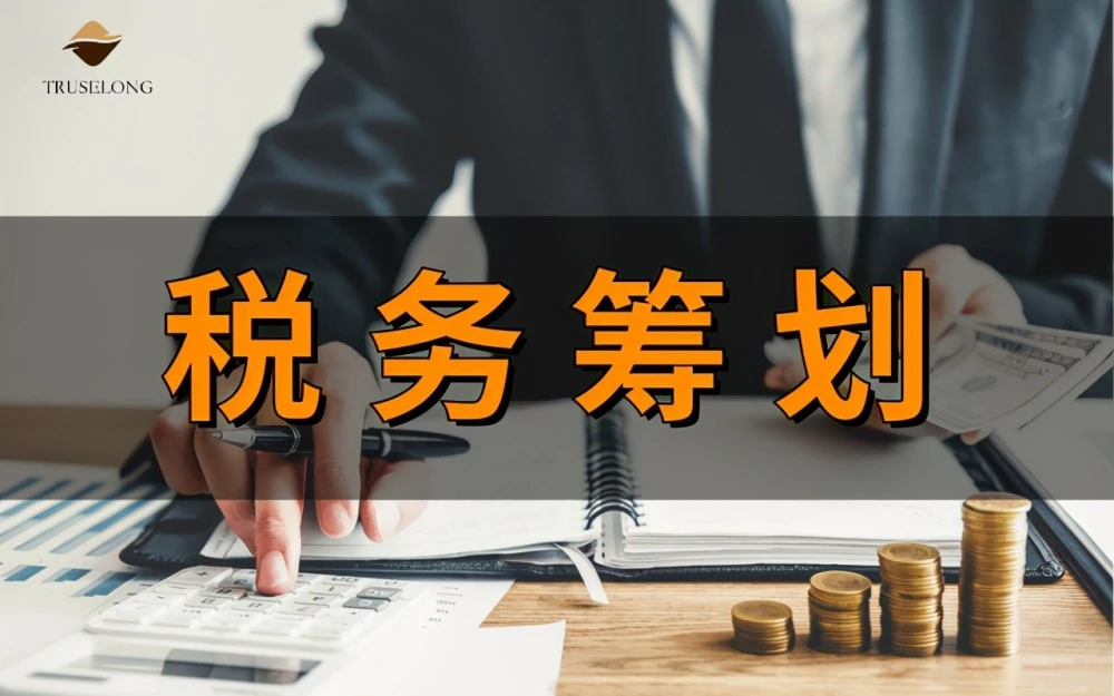 稅務(wù)籌劃(企業(yè)重組清算稅務(wù)處理與節(jié)稅籌劃指南)