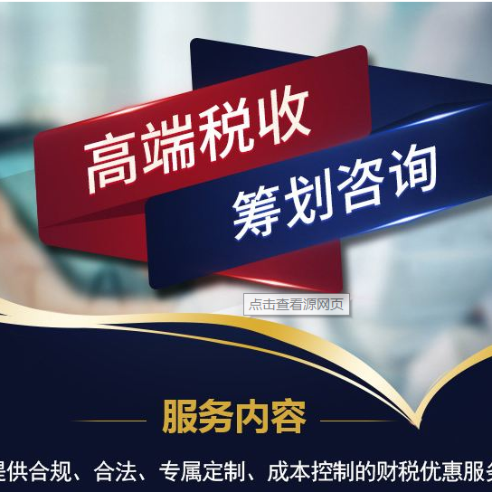 稅收籌劃(浙江省稅務(wù)學(xué)會;浙江省國際稅收研究會稅收有據(jù)——稅收政策法規(guī))