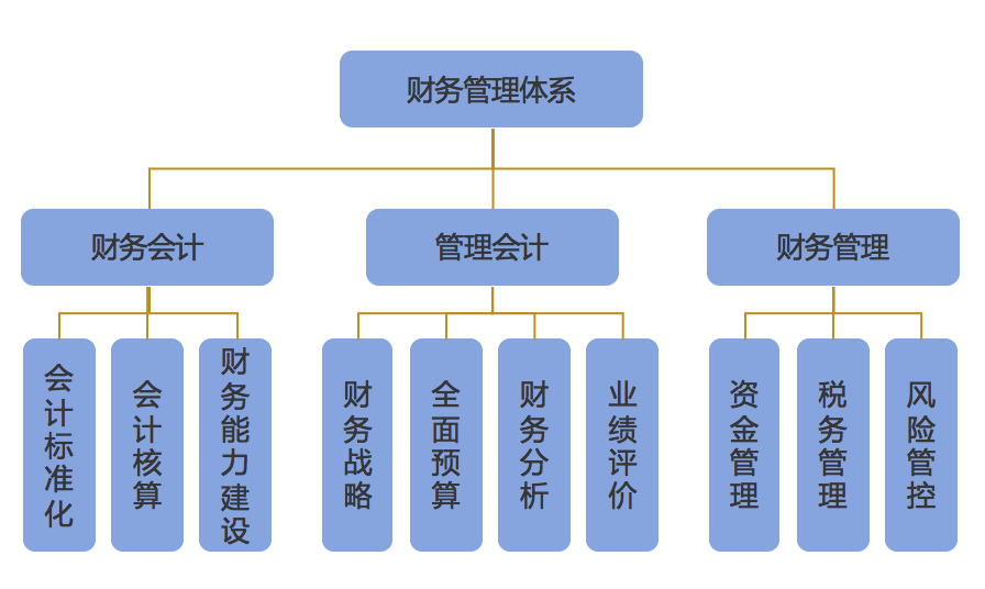 企業(yè)財(cái)務(wù)管理(財(cái)務(wù)信息化管理)「理臣咨詢(xún)」