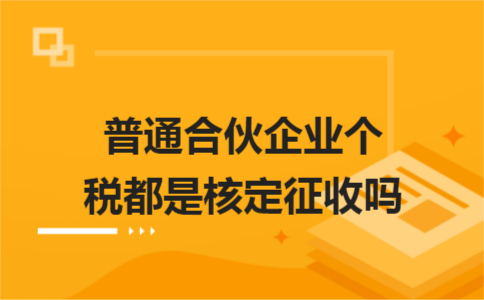 山東稅務(wù)納稅籌劃