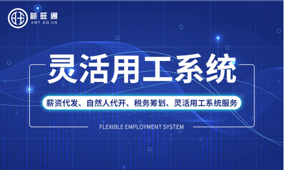 企業(yè)稅務(wù)籌劃技巧(企業(yè)納稅實務(wù)與籌劃)(圖7)