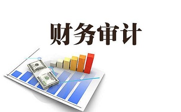 銀行常年財(cái)務(wù)顧問報(bào)告