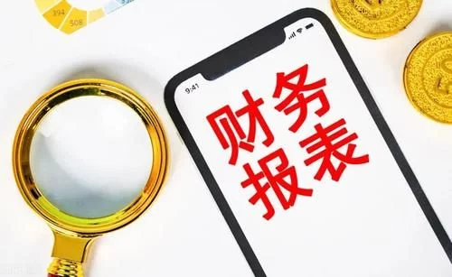 企業(yè)財(cái)務(wù)報(bào)表分析(統(tǒng)計(jì)局報(bào)表 財(cái)務(wù)填報(bào))(圖1)